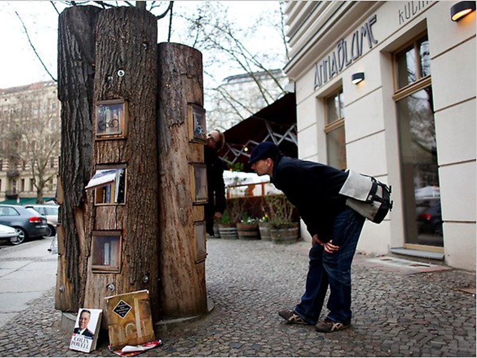 book forest